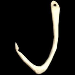 Bone Fishing Hook - DayZ Item